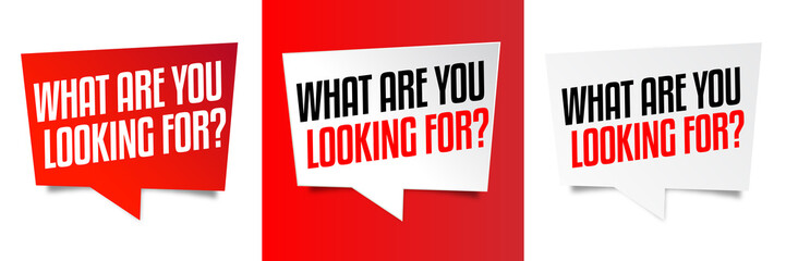 What are you looking for ?