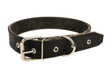 Collar on white background