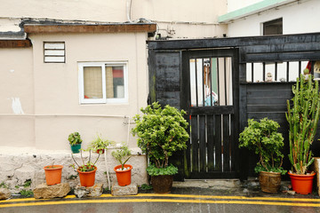 Fototapeta na wymiar Asian vintage style house