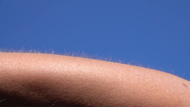 CLOSE UP MACRO DEPTH OF FIELD: Detail of skin and hair with goose bumps on female's forearm against blue sky. Light hair on person's arm raised up. Bright Caucasian skin getting goosebumps and chills