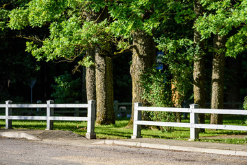 romantic gravel road in country under blue sky