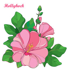 Vector bunch with outline Alcea rosea or Hollyhock flower in pastel pink, bud and green leaf isolated on white background. Floral elements in contour style with ornate Hollyhock for summer design.