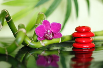 galets rouge disposés en mode de vie zen avec une orchidée et des branche de bambou sur sol brillant
