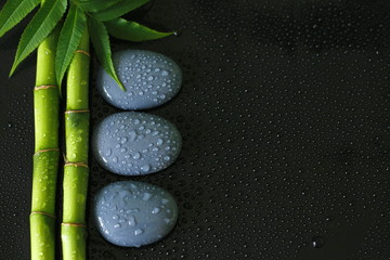 Obraz na płótnie Canvas arrière plan noir avec branche de Bambou avec du feuillage sur la gauche et galets zen gris avec gouttes d'eau