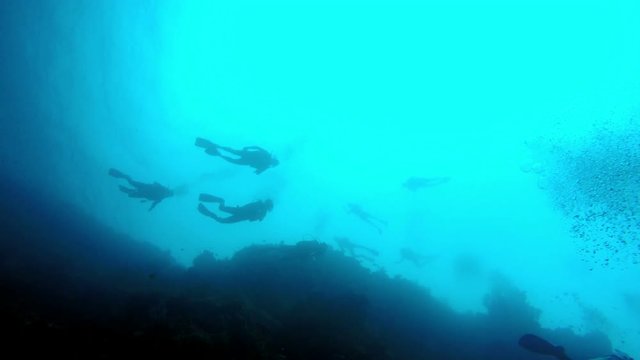 bottom view on group of divers against the background of a water surface