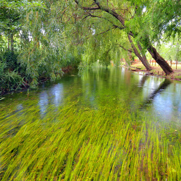 Little isle with willow on the Fonti del Clitunno lake in Umbria.