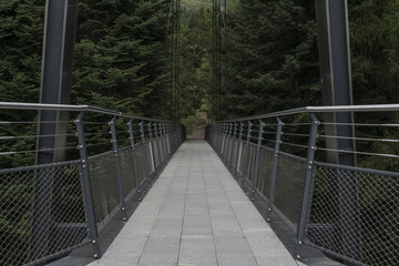 Bridge in the high mountains