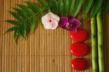 branches de bambou et feuillages avec galets rouges disposés en mode de vie zen et fleurs orchidées sur fond de bois en lammelles