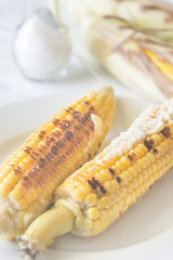 Grilled corncorbs on the plate