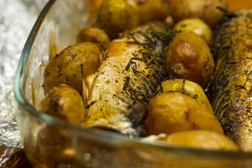 mackerel with potatoes baked in the oven