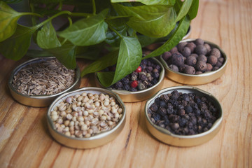 Spices in caps and sprout of sweet pepper, on a wooden board, close-up