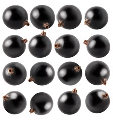 Isolated blackcurrants. Collection of black currant berries of different shapes isolated on white background with clipping path