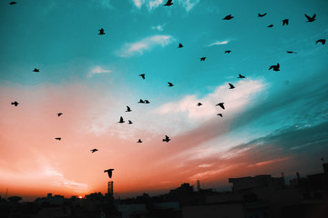Dusk