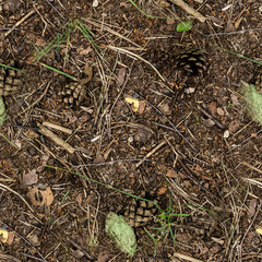 seamless brown summer forest ground with cones, dry. background, texture.
