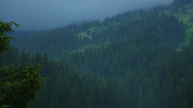 Heavy rain in mountain area. Dark thunderstorm clouds ower beautiful conifer landscape. Real time full hd video footage.