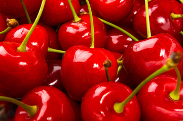 large ripe red cherries