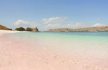 Foto op Canvas Tropical pink sand beach in Flores caused by peaces of broken red pink colored coral in the ocean during the day. © Eduard