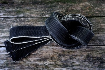 Black belt master of martial arts.