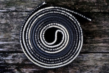 Black belt master of martial arts.