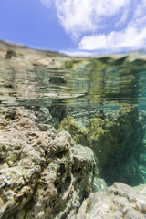 Under water caribbean sea, ocean from St Martin, St Maarten