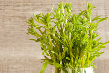 Bedstraw on a wooden background with copy space