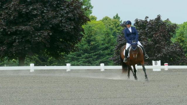 Skilled rider on magnificent steed in dressage exhibition.
