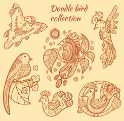 Hand drawn bird collection
