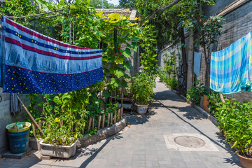 Hutong Hinterhof Peking