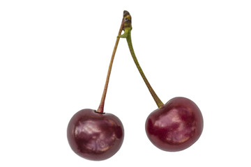 two sweet cherries isolated on white