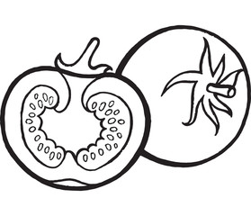 Tomato coloring page hand drawn illustration