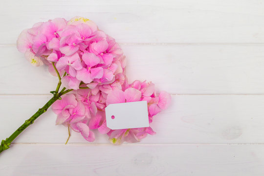Florist workplace: flowers and accessories