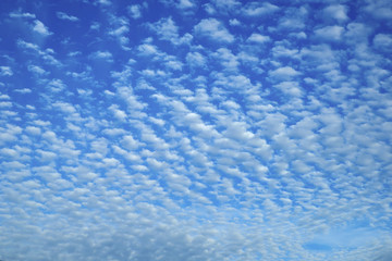 Blue beautiful sky with snow-white clouds of different shapes, background