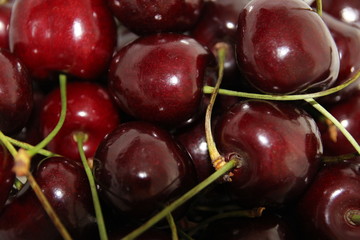 red cherries close up