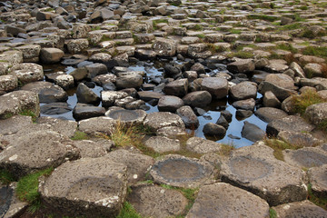 Obraz premium Giants causeway
