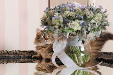 Cat and the bouquet of flowers in a vase