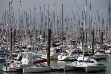 żaglówki © sorensen15