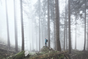 Obraz premium Hiker in misty forest