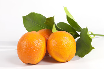 Oranges.