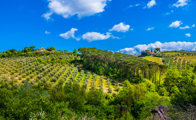 Fototapeta na wymiar Tuscany, Italy - Landscape