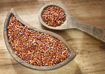 Seeds of red quinoa - Chenopodium quinoa