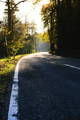 Fototapeta premium Highway to autumn 