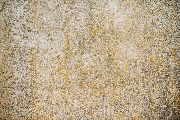 Yellow moss on old cement floor.