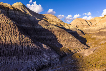 Petrified Forest