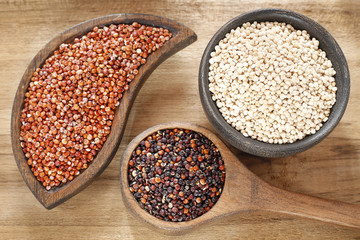 Seeds of white, red and black quinoa - Chenopodium quinoa