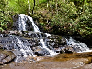 Fototapeta premium Laurel Falls Falling