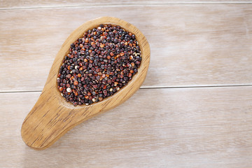 Seeds of black quinoa - Chenopodium quinoa