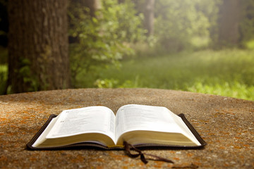 An Opened Bible on a Table in a Green Garden