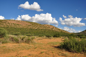 Fototapeta premium The Namibian Sky.