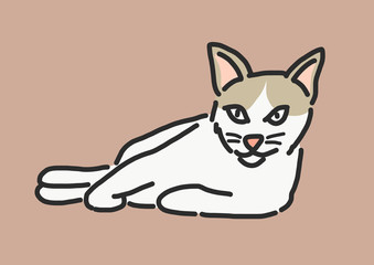 Cute Cat Cartoon. hand drawn. line drawing. vector illustration.