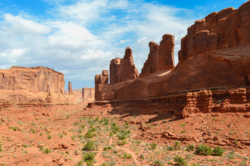 Fototapeta premium DSC_0232.JPG